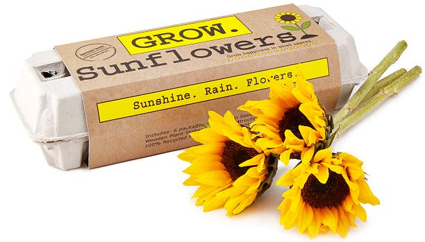 Sunflower Garden Grow Kit